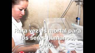 Zika el virus que alarma a las embarazadas [upl. by Leahcimrej]