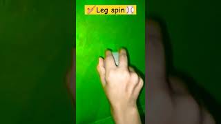 How to do leg spin bowling like Shane Warne cricket bowling [upl. by Aymer574]