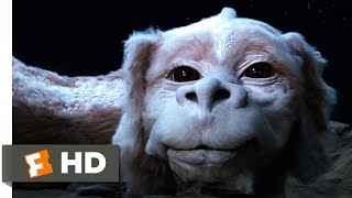 The Neverending Story 410 Movie CLIP  Falkor the Luck Dragon 1984 HD [upl. by Ecinnej]