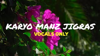 Karyo Manz Jigras  Sumaira Rasool  Vocals Only [upl. by Lezti]