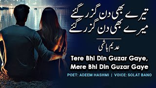 Tere Bhi Din Guzar Gaye Mere Bhi Din Guzar Gaye  Adeem Hashmi  Solat Bano Soulful Rendition [upl. by Jeromy]