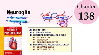 Neuroglia  Ch138  Neurophysiology  sembulingam physiology [upl. by Storer]