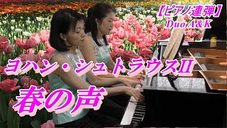 JStrauss IIFrühlingsstimmenヨハン・シュトラウス二世春の声piano duetピアノ連弾Duo AampKサタデーナイトデュオ第55弾 [upl. by Philbin370]