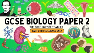 ALL of GCSE Biology Paper 2 Part 2  Triple Science only topics [upl. by Arundel]