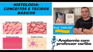 HISTOLOGIA  CONCEITOS E TECIDOS BÁSICOS [upl. by Aehtela]