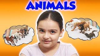 Types of Animals  Food of Herbivore Carnivore Omnivore Animals  Video for Kids [upl. by Mandi241]