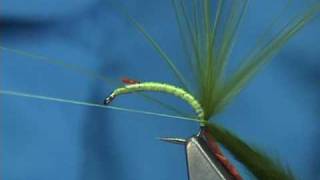 Tying the McPhail Marabou Bug by Davie McPhail [upl. by Gower]