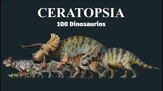 Comparación de Tamaño de DINOSAURIOS CON CUERNOS Ceratopsia [upl. by Anauqaj]