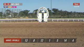 Live Hippodrome « CASABLANCA »  Courses du « 21082023 » [upl. by Smoht]