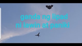 Saranggola na Lawin gawa ko kakatuwa tingnan sa taas ng lipad [upl. by Anaib]