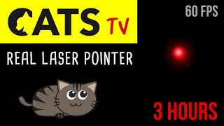 CATS TV  Real Laser Chaser 60FPS 🔴  3 HOURS Video Game for Cats Only [upl. by Nitsu]