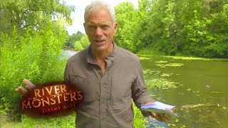 quotI Dont Have Dinner Partiesquot  Jeremy Wade AMA 3  River Monsters [upl. by Aihceyt]