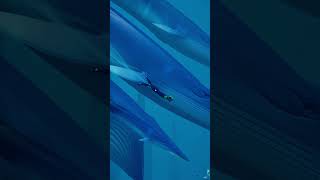 🐟 ABZÛ Nintendo Sale 🐟 [upl. by Enilarak]