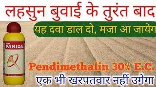 खरपतवारनाशक दवा पेंडीमेथालीन का प्रयोग कैसे करें Pendimethalin 30ECTata Panidasmartfarming [upl. by Rosen]