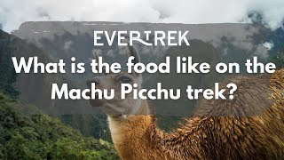 What is the food like on the Machu Picchu trek [upl. by Selestina7]