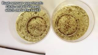 Rust remover experiment citric acid vs vinegar [upl. by Petr]