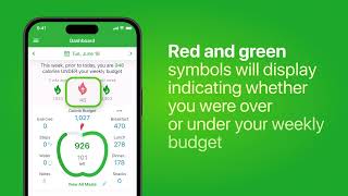 MyNetDiary Howto Dashboard Pulldown Statistics [upl. by Elson]