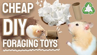 Cheap Easy DIY Foraging Toys to Keep your Hamster Busy PT1 🐹🌿 [upl. by Cela]