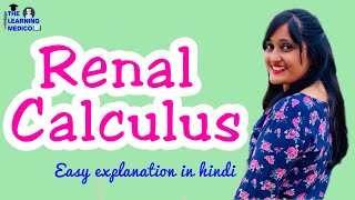 Renal Calculus easy explanation in hindi The Learning Medico [upl. by Aicrag650]