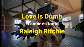 Raleigh Ritchie  Love Is Dumb Subtitulado [upl. by Alleen181]