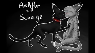 Scourge x Ashfur  Criminal [upl. by Luttrell83]