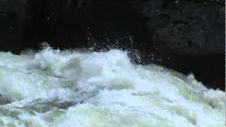 Gauley Fest 2010 Escape from the Room of Doom [upl. by Raviv]