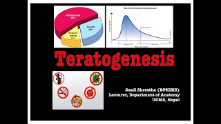 Teratogenesis Anatomy Shortcut channel [upl. by Altis]