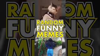 RANDOM FUNNY MEMES 🤣 Daily Funny Videos pt197 [upl. by Eniamirt417]