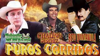 Valentin Elizalde Chalino Sanchez Beto Quintanilla Sergio Vega  Corridos Mix [upl. by Rihsab]