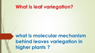 what is leaf variegation learn how leaves show variegation Urdu part 1 [upl. by Merilee]