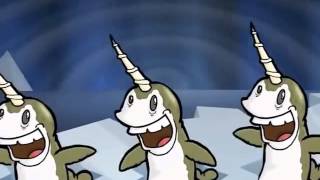 Narwhal Song [upl. by Becka]