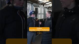 Harry Derham staff picks for Cheltenham November Meeting [upl. by Vocaay]