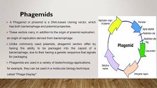 Cloning Vehicles  Cloning Vectors explanation in simple way [upl. by Eelaras]