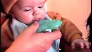 Sam the Newfoundland Dog kisses Baby [upl. by Dietz]