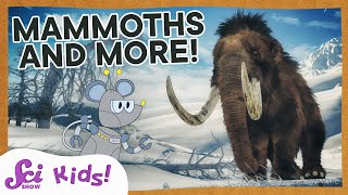 Woolly Mammoths Mastodons and Amazing Teeth  SciShow Kids [upl. by Kcirdek]