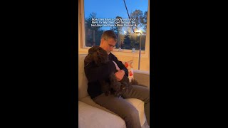 Reuniting with dog after she passed away 🥹❤️ doglover dogs dogloss petloss grief shorts [upl. by Halpern]