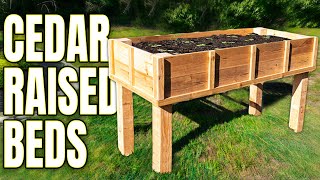 The SECRET to DIY Cedar Raised Garden Beds [upl. by Lenoj]