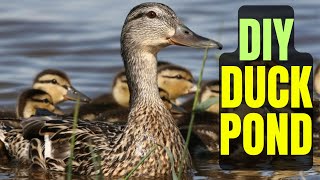 Simple DIY Duck Pond [upl. by Hesketh]