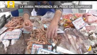 Affronte quotDa dove viene il pesce che mangiamoquot [upl. by Enra305]