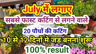 जुलाईमें कटिंग से लगनेवाले 20परमानेंट पौधेgrow plants from cuttings in july evergreen hardy plants [upl. by Enneibaf739]