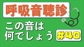 【40日目】毎日1分！こっそり呼吸音の聴診ができるようになりませんか？ [upl. by Nirhtak]