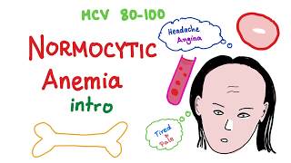 Normocytic Anemia Intro [upl. by Bonns876]