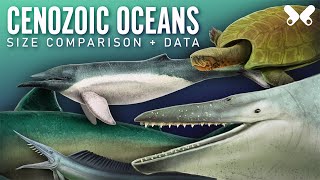 Aquatic animals of the Cenozoic Size comparison paleoart [upl. by Erbes]