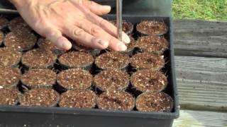 Seeding for the Aquaponics Systems [upl. by Lannie]