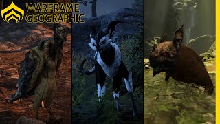 Warframe Geographic  Animals of Earth [upl. by Gaile149]