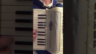 Akkordeon Walzer Schnee Hohner 48 accordion ziehharmonika Harmonika [upl. by Ynohtona]