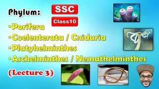 Animal Classification Lecture 3  Phylum 14  Class 10  SSC  Maharashtra state board [upl. by Latricia]