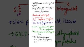 What is MALTmucosal associated lymphoid tissue biologyshort shorts [upl. by Wills]