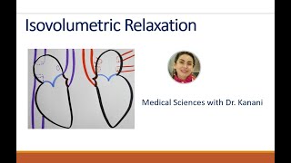 Isovolumetric Relaxation of the Cardiac Cycle [upl. by Ahsilaf930]