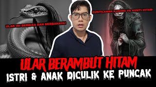 LAH LOK KOK UJUNGNYA JADI BEGINI EH ADA ULAR BERAMBUT  TC [upl. by Saloma]